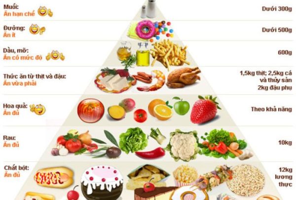 Chế độ giảm mỡ bụng cho nữ khoa học an toàn và hiệu quả