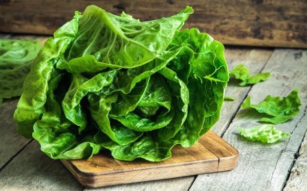 Ăn rau xà lách có giảm cân không? Giải đáp và cách ăn hiệu quả