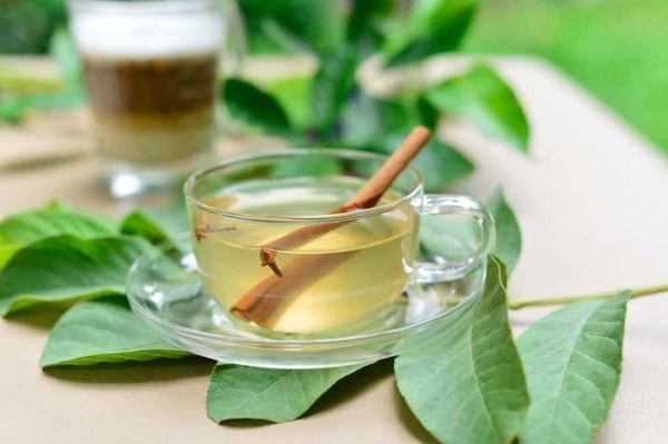 Giảm cân bằng lá ổi trong 1 tuần: Bí quyết đơn giản, dễ thực hiện tại nhà